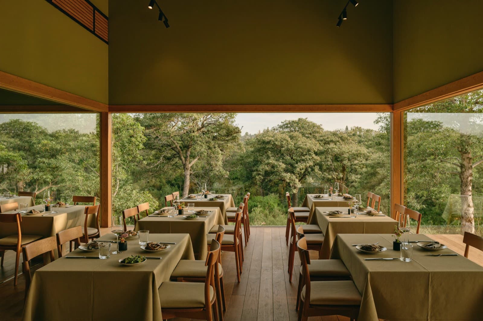 Signature organic dishes at Bambua