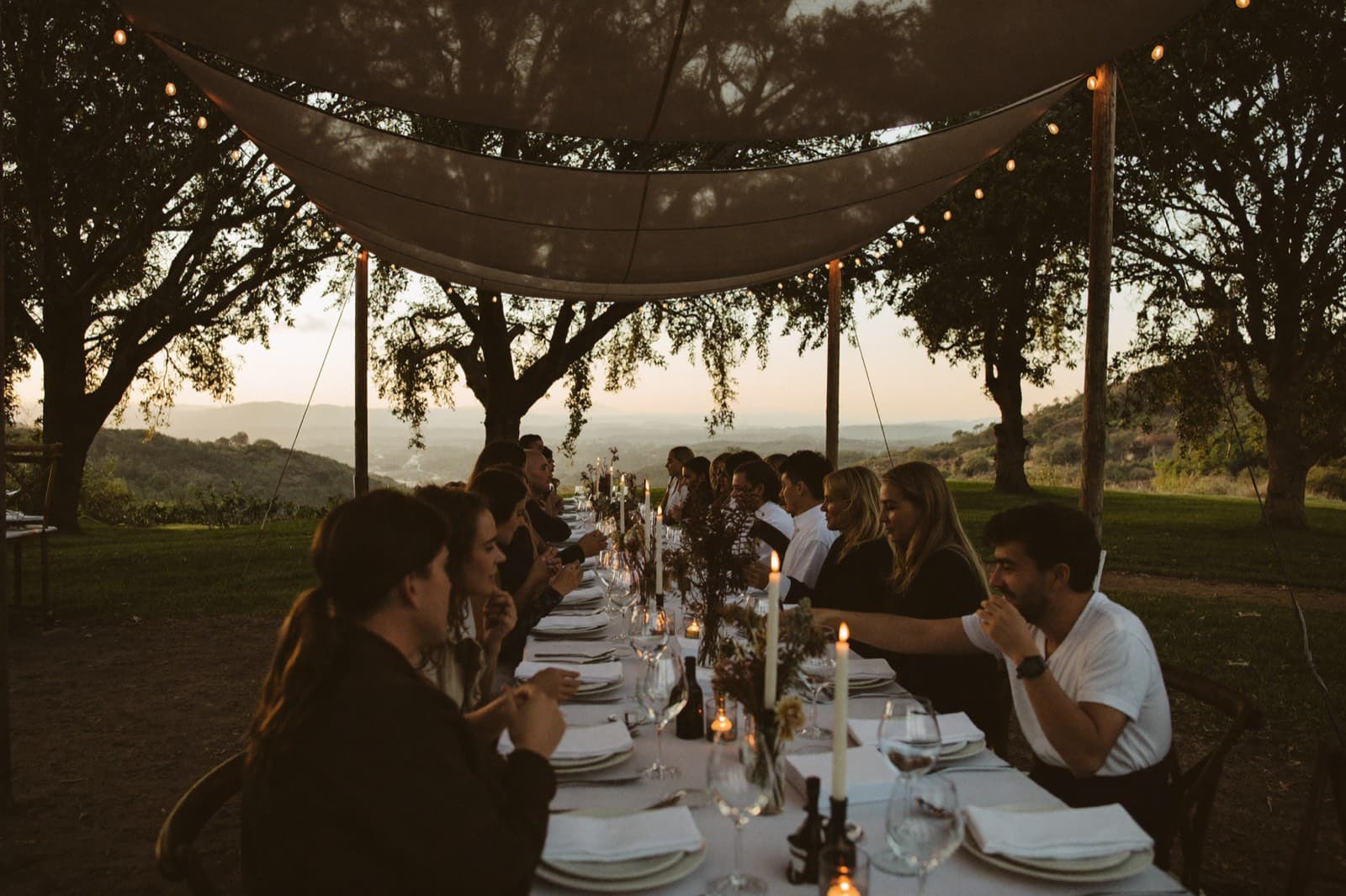 Long table set for dinner beneath the trees
