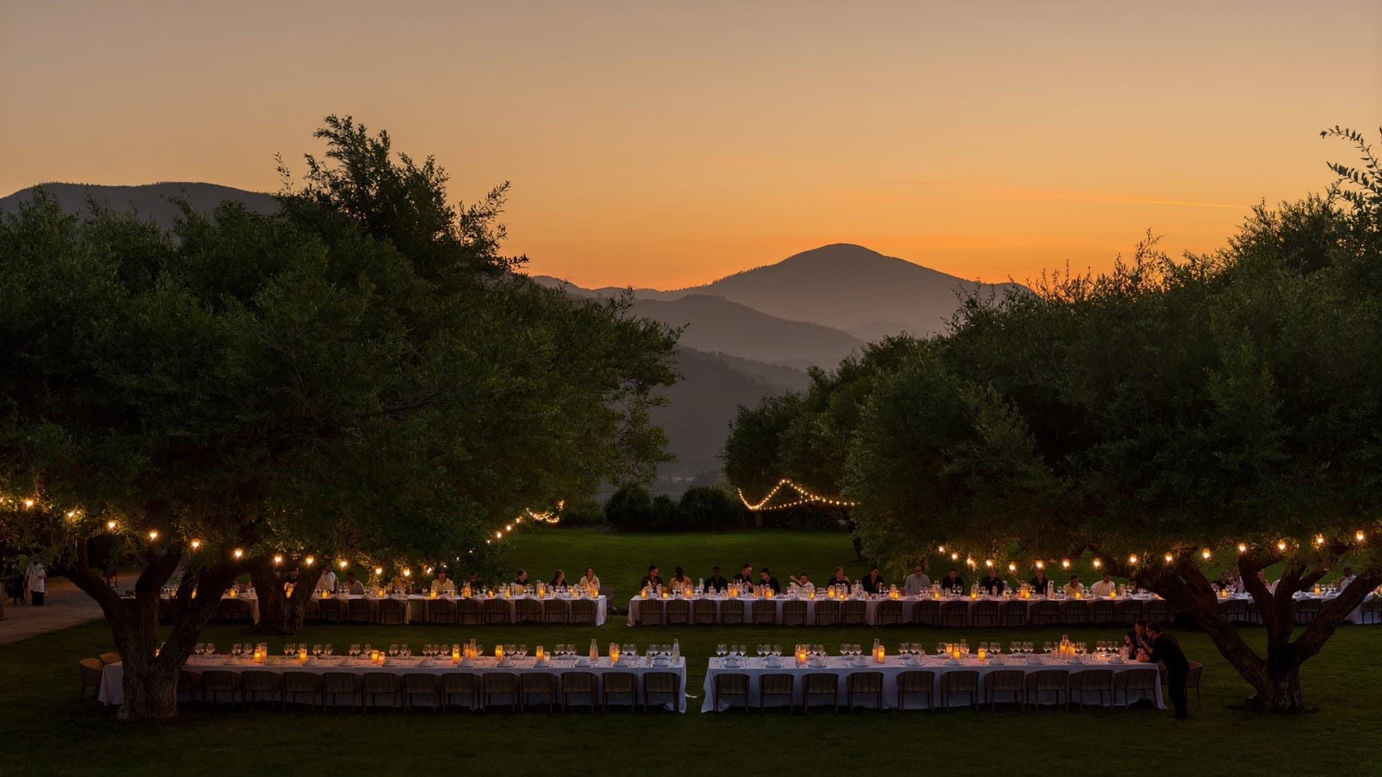 The terrace at dusk among the trees