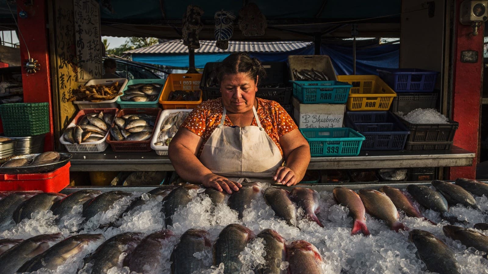 Meet Mary, our fishmonger.